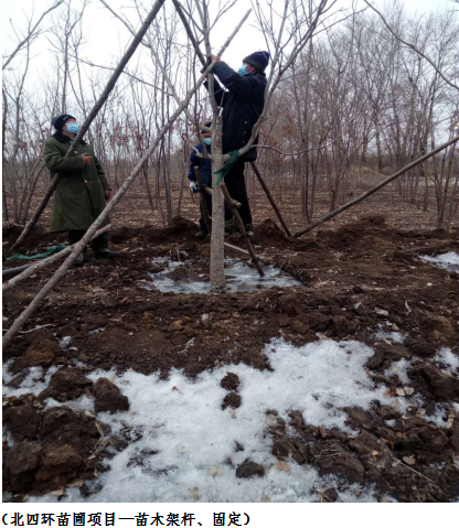 yl6809永利(集团)有限公司官网