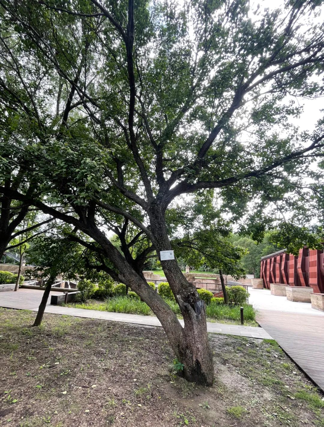 yl6809永利(集团)有限公司官网