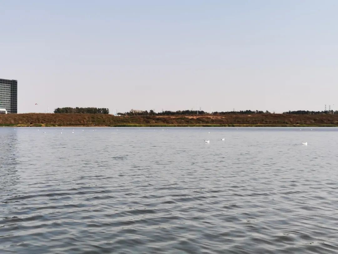 yl6809永利(集团)有限公司官网